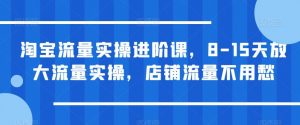 淘宝流量实操进阶课，8-15天放大流量实操，店铺流量不用愁-比钱轻创