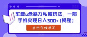 车载u盘暴力私域玩法,一部手机实现日入300+【揭秘】-比钱轻创