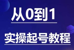 石野·小白起号实操教程,掌握各种起号的玩法技术,了解流量的核心-比钱轻创