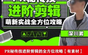 PR进阶剪辑培训班，让你快速成为剪辑大师12节视频课程+素材！-比钱轻创