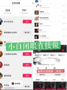 一天做完别一辈子的视频制作最近很火的《1000个野路子信息差》100%过原创【揭秘】-比钱轻创