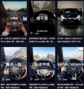 抖音开车视频项目,0基础操作,每天五分钟,月入1W+【揭秘】-比钱轻创