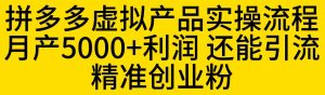 拼多多虚拟产品实操流程，月产5000+利润，还能引流精准创业粉【揭秘】-比钱轻创