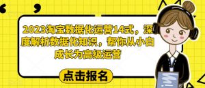 2023淘宝数据化运营14式,深度解析数据化知识,帮你从小白成长为高级运营-比钱轻创
