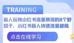 新人玩转小红书流量暴涨的8个野路子，小红书新人快速流量破局-比钱轻创