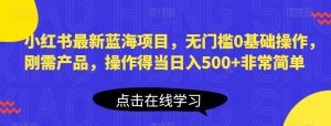 小红书最新蓝海项目,无门槛0基础操作,刚需产品,操作得当日入500+非常简单【揭秘】-比钱轻创