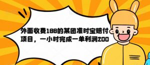 外面收费188的美团准时宝赔付项目，一小时完成一单利润200【仅揭秘】-比钱轻创