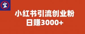 宝哥小红书引流创业粉,日赚3000+【揭秘】-比钱轻创