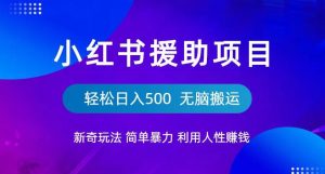 小红书援助项目新奇玩法，简单暴力，无脑搬运轻松日入500【揭秘】-比钱轻创