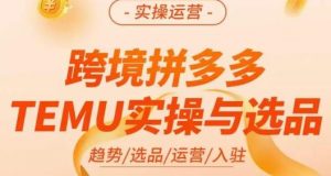 伍跃·跨境拼多多TEMU实操与选品，​趋势/选品/运营/入住（27节完整）-比钱轻创