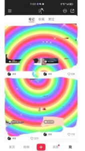 冷门高利润项目，小红书带货，无脑搬运，一部手机实现日入500+【揭秘】-比钱轻创