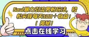 Soul暴力引流男粉玩法，轻松实现每天500＋收益！【揭秘】-比钱轻创