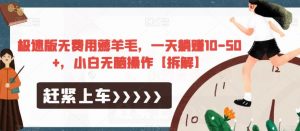 极速版无费用薅羊毛，一天躺赚10-50+，小白无脑操作【拆解】-比钱轻创