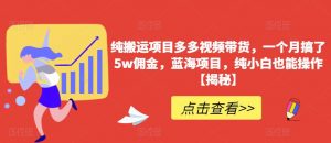 纯搬运项目多多视频带货,一个月搞了5w佣金,蓝海项目,纯小白也能操作【揭秘】-比钱轻创