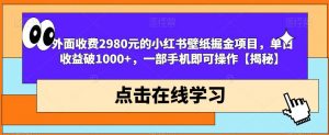 外面收费2980元的小红书壁纸掘金项目，单日收益破1000+，一部手机即可操作【揭秘】-比钱轻创