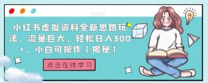 小红书虚拟资料全新思路玩法，流量巨大，轻松日入300+，小白可操作【揭秘】-比钱轻创