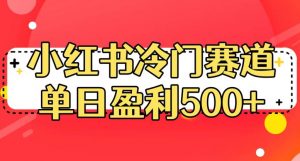 小红书冷门赛道，单日盈利500+【揭秘】-比钱轻创