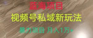 蓝海项目,视频号私域新玩法,暴力项目月入1万+【揭秘】-比钱轻创