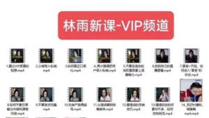 林雨新课VIP频道，玩赚私域/朋友圈/社群-比钱轻创