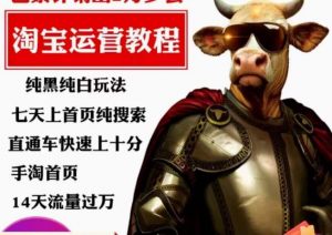 猫老师·淘系算法逆向解密，​纯黑纯白玩法，七天上首页纯搜索，手淘首页14天流量过万-比钱轻创