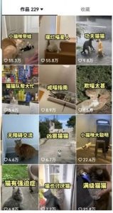 拆解：抖音盘点类中视频变现副业项目，视频版一条龙大解析分享给你-比钱轻创