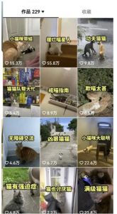 拆解抖音盘点类中视频变现副业项目，视频版一条龙大解析分享给你【视频课程】-比钱轻创