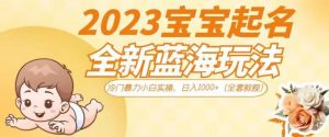 2023宝宝起名全新蓝海玩法，冷门暴力小白实操，日入1000+（全套教程）【揭秘】-比钱轻创