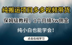 纯搬运项目多多视频带货保姆级教程，1个月搞5w佣金，纯小白也能学会【揭秘】-比钱轻创