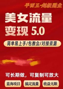 TK美女短视频变现项目无限复制（升级版），全网最高性价比项目【揭秘】-比钱轻创