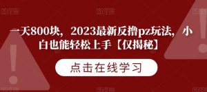 一天800块，2023最新反撸pz玩法，小白也能轻松上手【仅揭秘】-比钱轻创