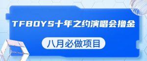 最新蓝海项目，靠最近非常火的TFBOYS十年之约演唱会流量掘金，八月必做的项目【揭秘】-比钱轻创