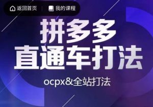 互力·拼多多直通车打法，ocpx&全站打法-比钱轻创