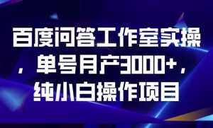 百度问答工作室实操，单号月产3000+，纯小白操作项目【揭秘】-比钱轻创