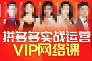 推易拼多多VIP全套直播课程，拼多多店铺实操玩法+实战玩法选款内功+直通车高阶等-比钱轻创