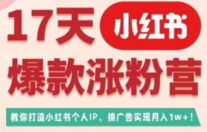 17天小红书爆款涨粉营（广告变现方向），教你打造小红书博主IP、接广告变现的-比钱轻创