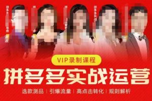 2023推易拼多多实战运营,选款测品、引爆流量、高点击转化、规则解析-比钱轻创