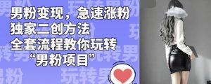 男粉变现，急速涨粉独家二创方法，全套流程教你玩转“男粉项目”【揭秘】-比钱轻创