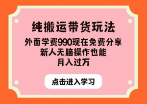 纯搬运带货玩法，外面学费990现在免费分享，新人无脑操作也能月入过万【揭秘】-比钱轻创