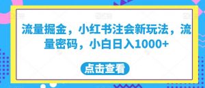 流量掘金，小红书注会新玩法，流量密码，小白日入1000+【揭秘】-比钱轻创