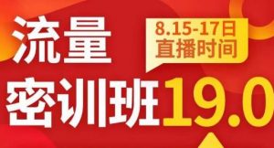 秋秋线上流量密训班19.0，打通流量关卡，线上也能实战流量破局-比钱轻创