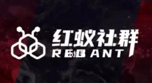 社群运营：红蚁社群【48节落地系统课程+2000人高端社群】-比钱轻创