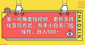 第一视角类短视频，更新多样化变现方式，新手小白无门槛操作，日入500+【揭秘】-比钱轻创