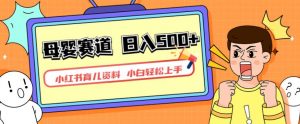 小红书育儿资料，一部手机可操作，多种变现方式，日入500+，私域变现，长期可持续项目【揭秘】-比钱轻创