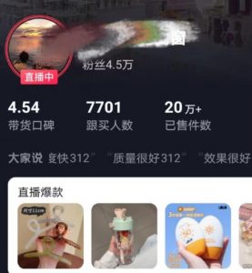 全新的蓝海赛道，抖音一元直播，不用囤货，不用出镜，照读话术也能20w+月销量【揭秘】-比钱轻创