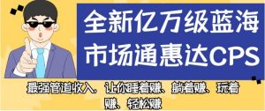 全新亿万级蓝海市场通惠达cps，最强管道收入，让你睡着赚、躺着赚、玩着赚、轻松赚【揭秘】-比钱轻创