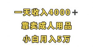 一天收入4000+，靠卖成人用品，小白轻松月入5万【揭秘】-比钱轻创