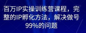 百万IP实操训练营课程，完整的IP孵化方法，解决做号99%的问题-比钱轻创