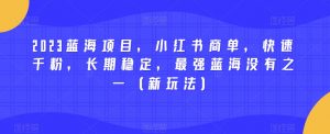 2023蓝海项目，小红书商单，快速千粉，长期稳定，最强蓝海没有之一（新玩法）-比钱轻创