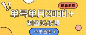 最新闲鱼日入500＋，虚拟资料变现喂饭级讲解-比钱轻创