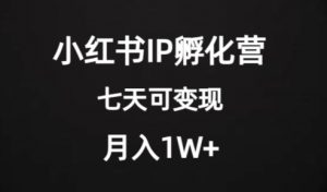 价值2000+的小红书IP孵化营项目，超级大蓝海，七天即可开始变现，稳定月入1W+-比钱轻创